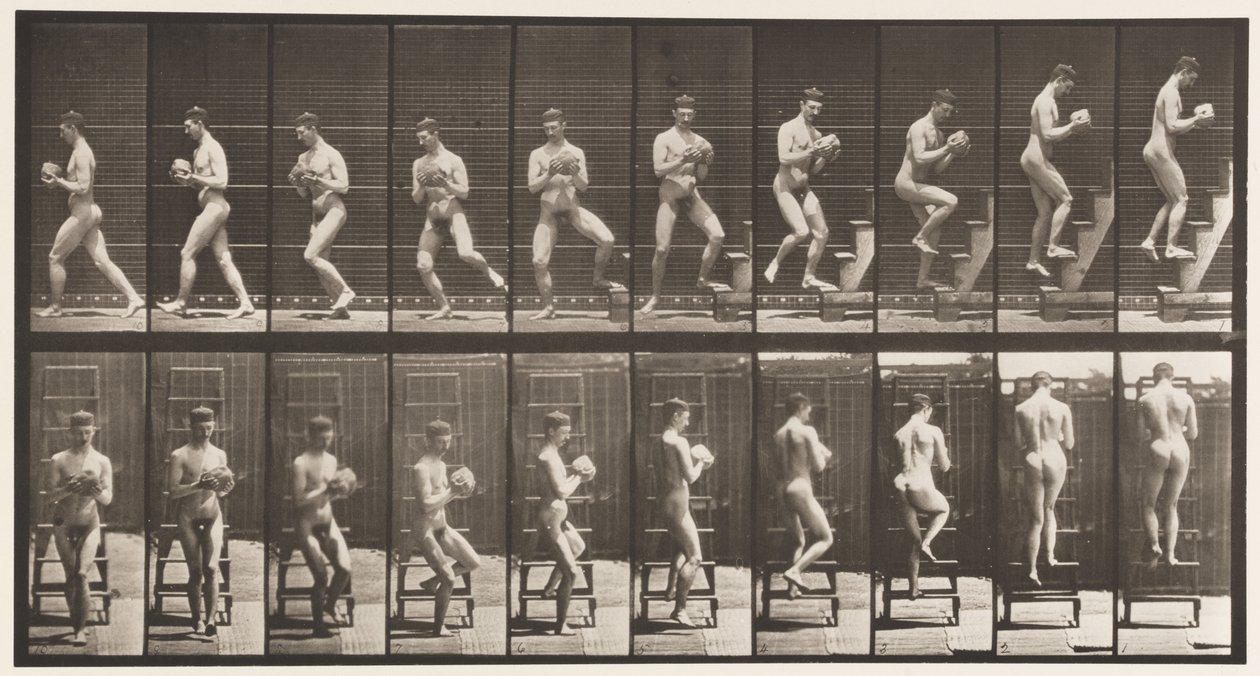 Tafel 151. Abwärts auf der Leiter, Umdrehen, Stein in den Händen von Eadweard Muybridge