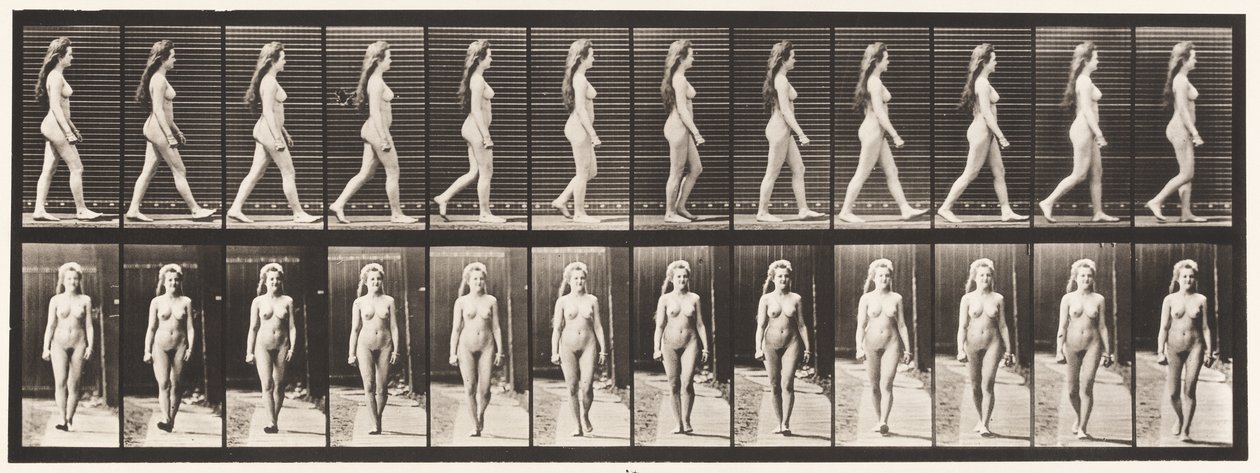 Tafel 17. Gehen, 1872-1885 von Eadweard Muybridge