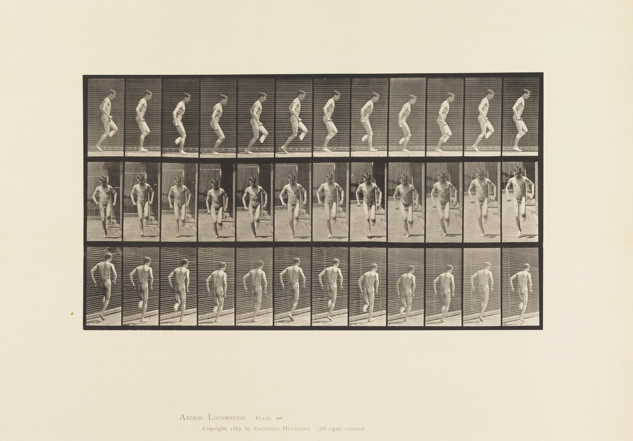 Tafel 186. Auf dem rechten Fuß hüpfen, 1885 von Eadweard Muybridge