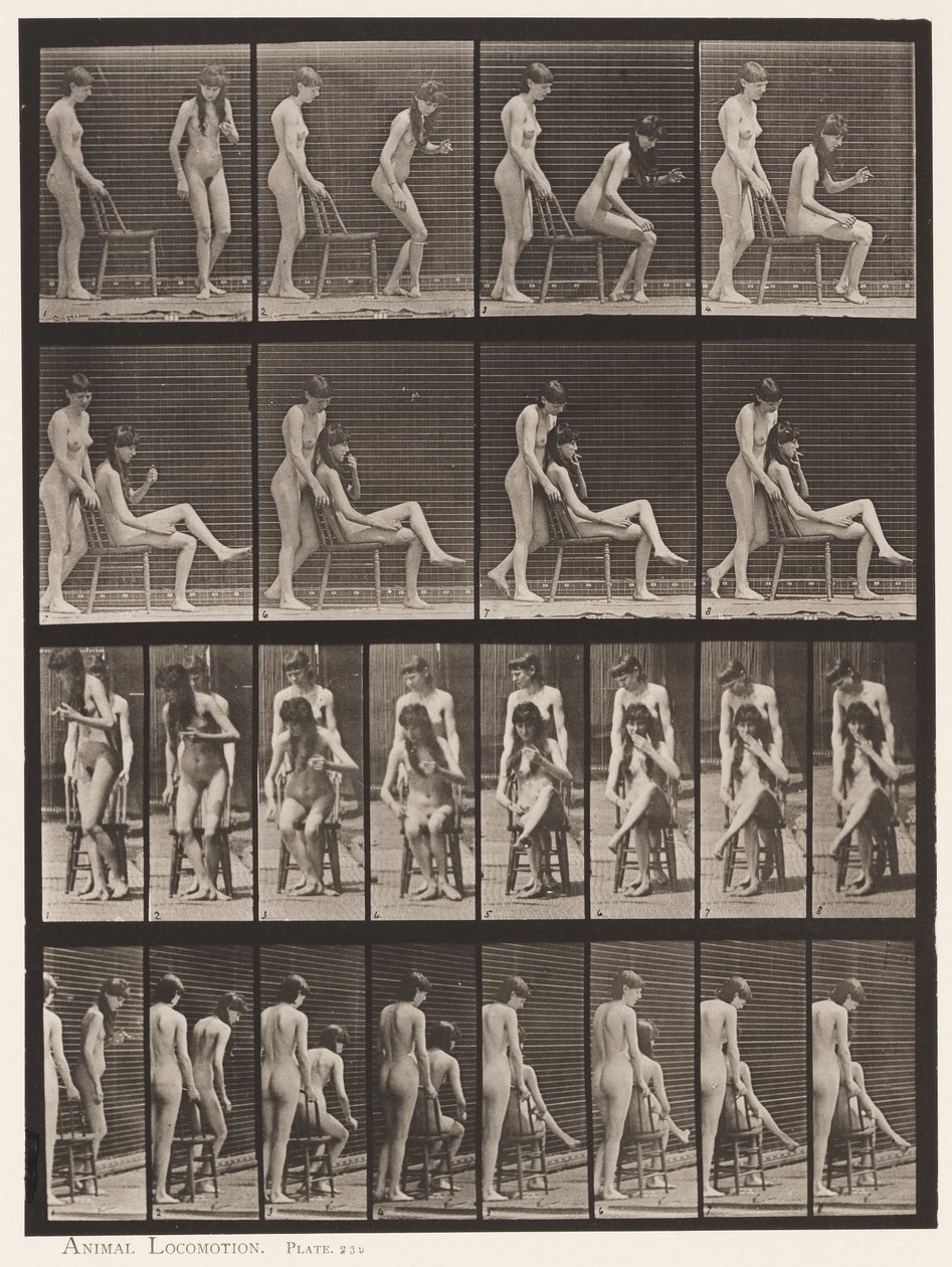 Zwei Modelle; Eine stehend, die andere sitzend, Beine überkreuzt von Eadweard Muybridge