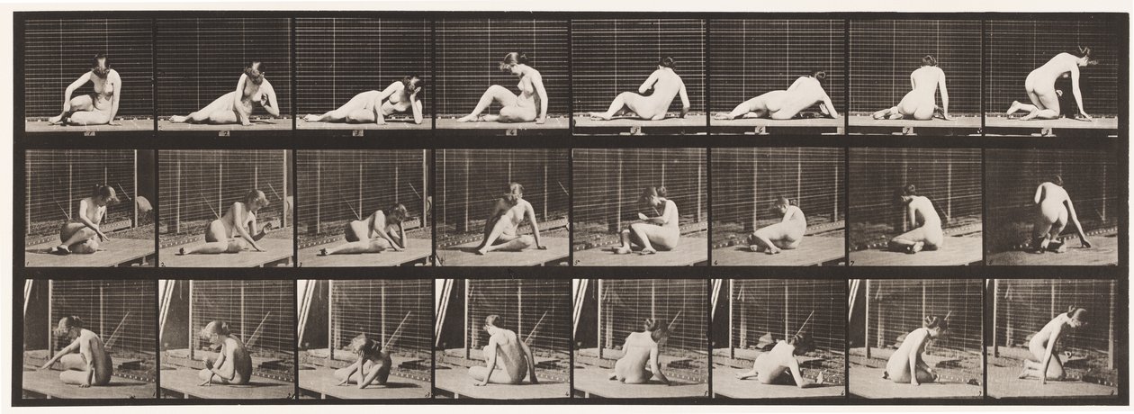 Tafel 266. Sich drehen und Position ändern, während man noch auf dem Boden ist von Eadweard Muybridge