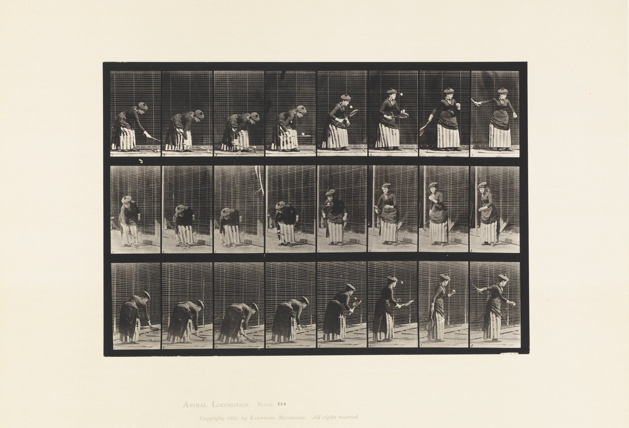 Tafel 295. Rasentennis; Aufschlag von Eadweard Muybridge