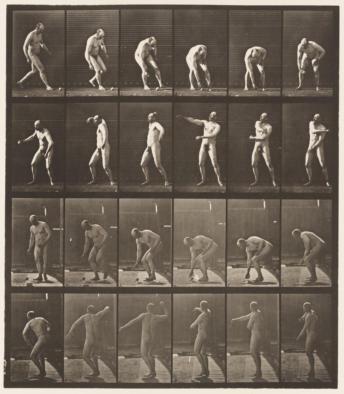 Tafel 302. Einen Ball aufheben und werfen, 1885 von Eadweard Muybridge