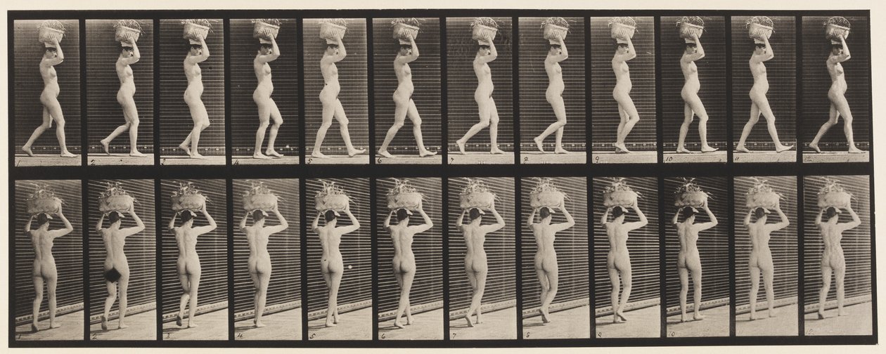Gehen, 14-Pfund-Korb auf dem Kopf, Hände erhoben von Eadweard Muybridge