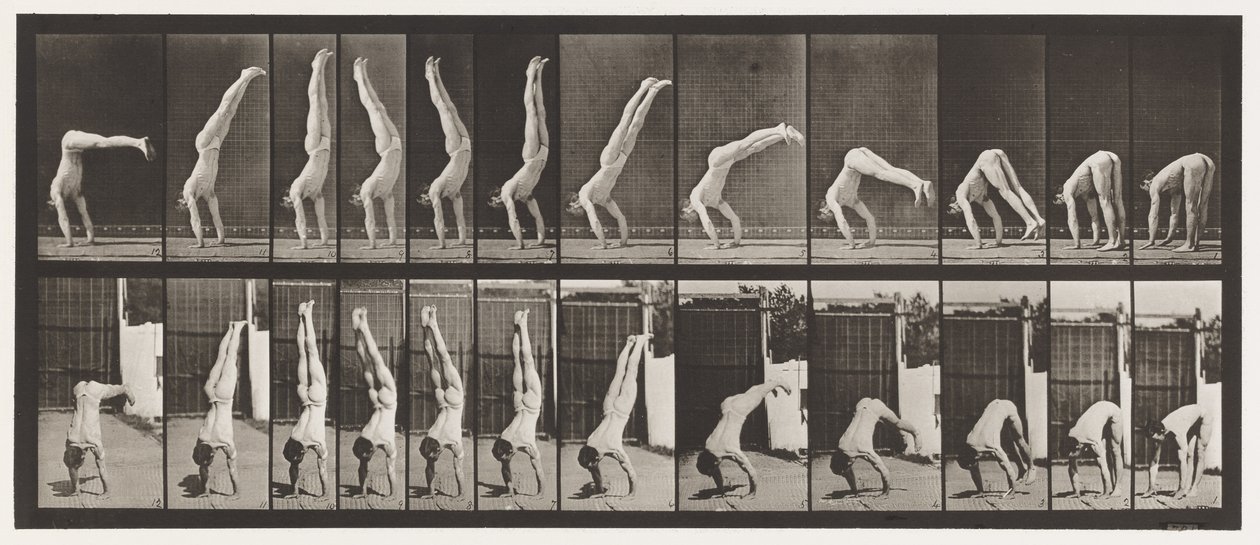 Tafel 371. Akrobat, vertikaler Druck nach oben von Eadweard Muybridge