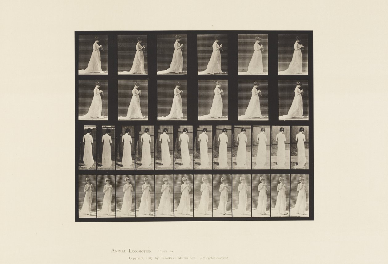 Gehen, Hände mit Stricken beschäftigt von Eadweard Muybridge