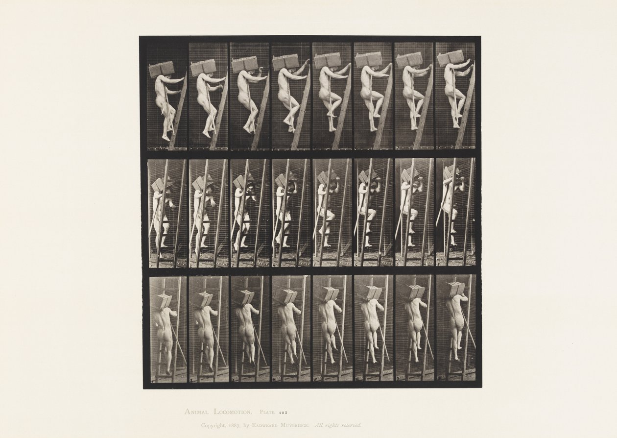 Handziegel eine Leiter hinauftragen von Eadweard Muybridge