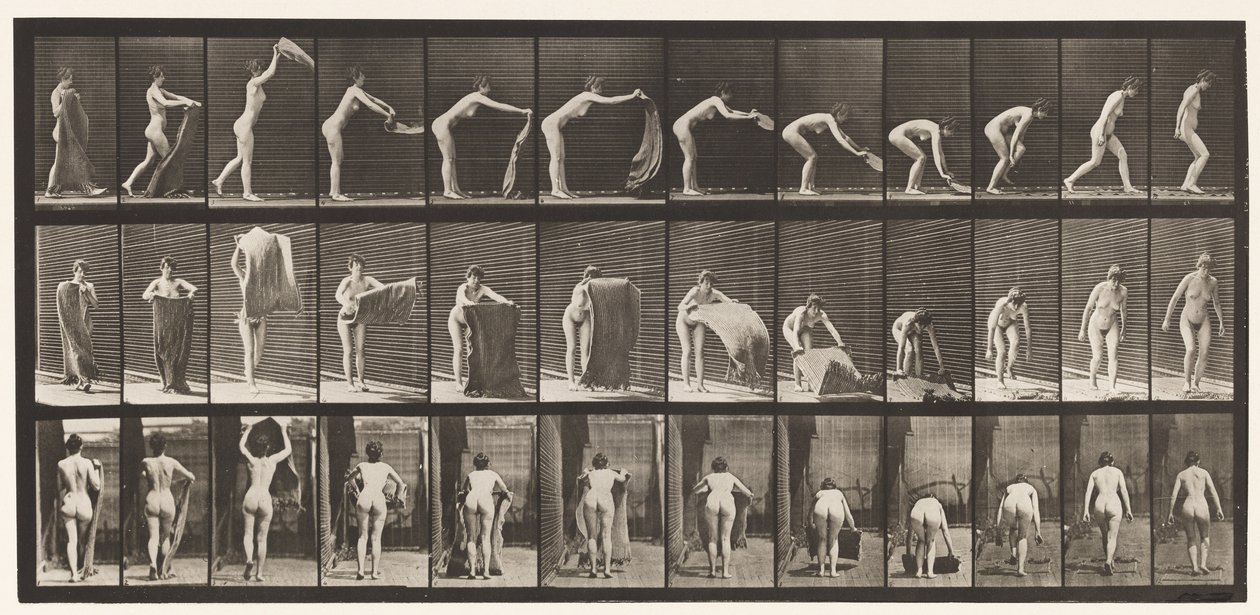 Tafel 439. Einen Teppich auf dem Boden ausbreiten von Eadweard Muybridge
