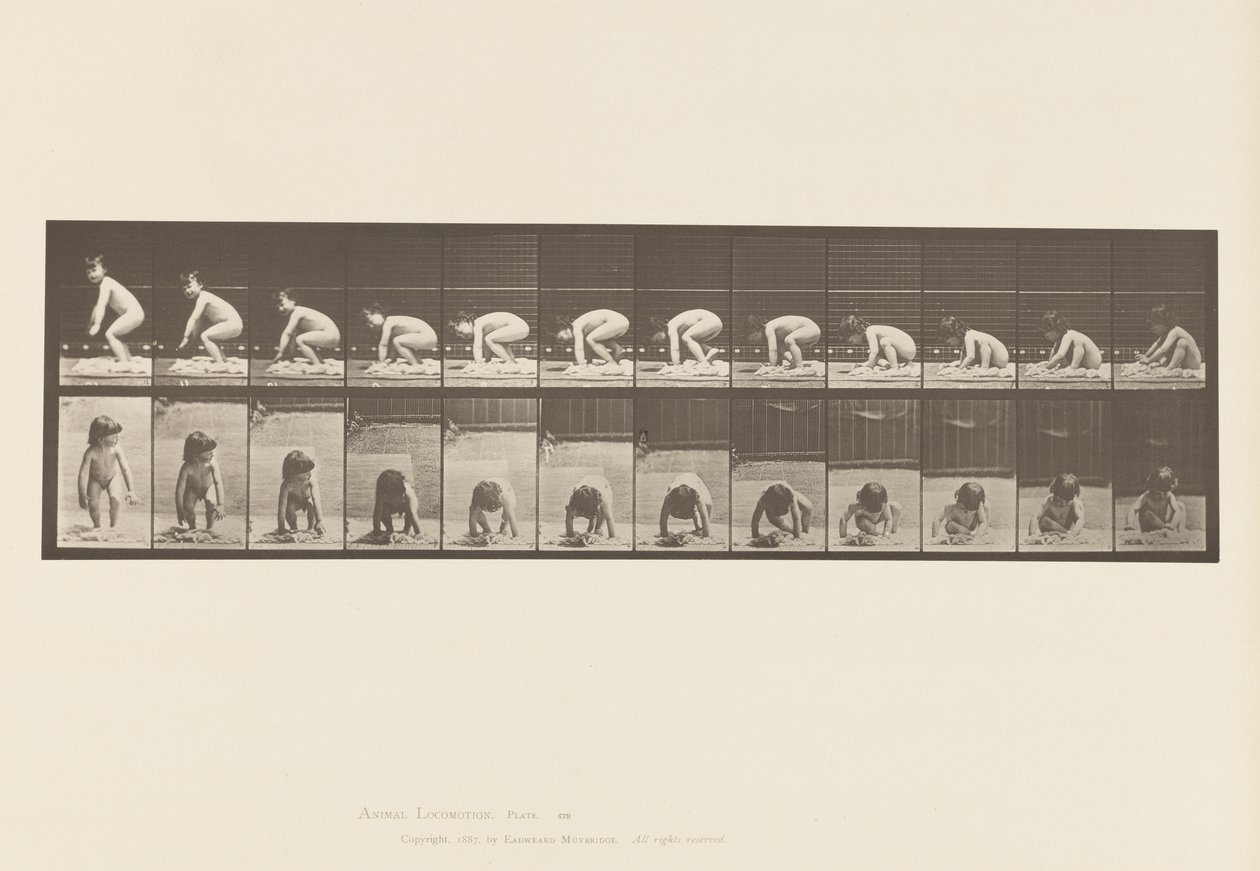 Tafel 479. Kind, das vom Boden aufsteht von Eadweard Muybridge