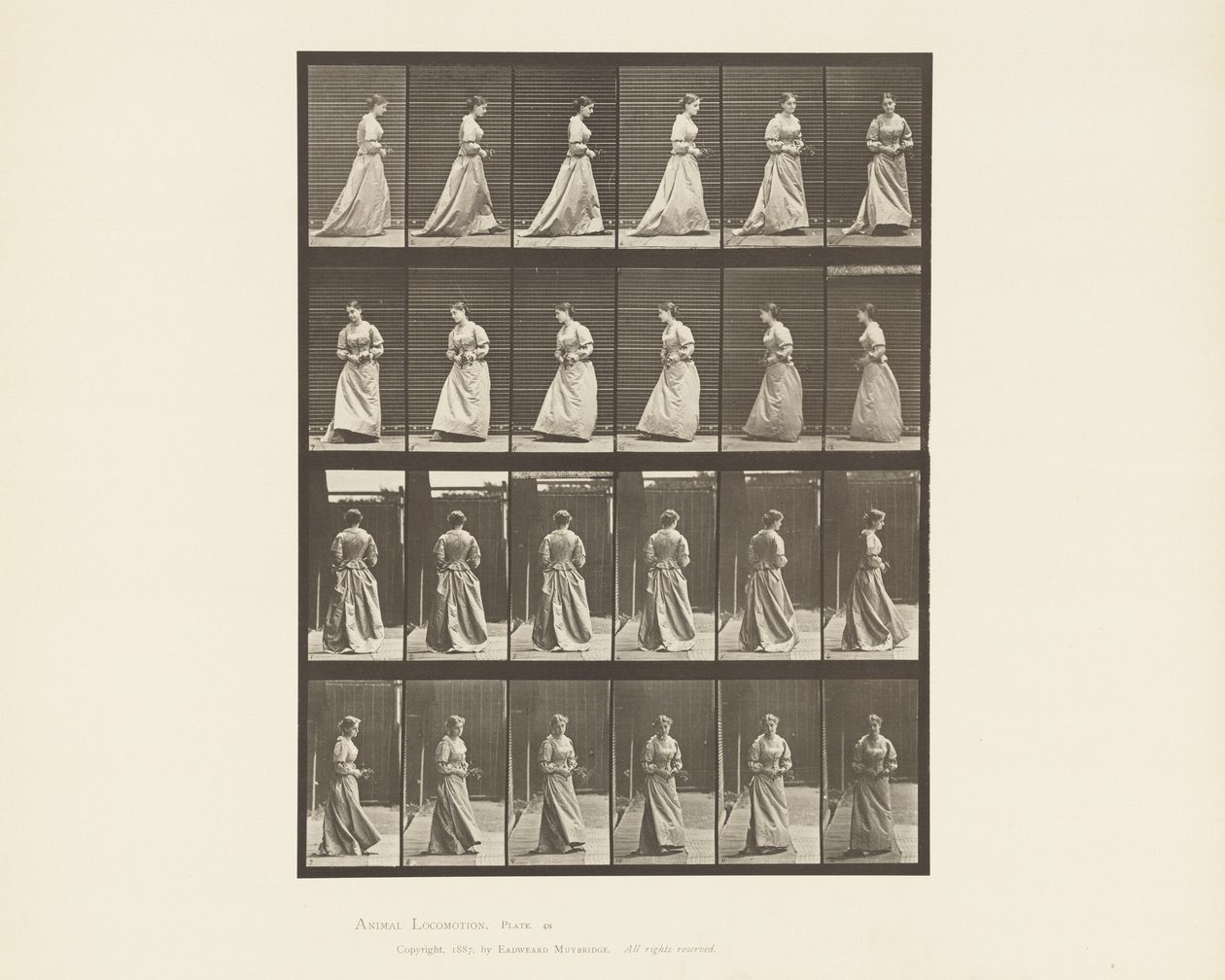 Gehen und Umdrehen mit Blumenstrauß in beiden Händen, 1885 von Eadweard Muybridge