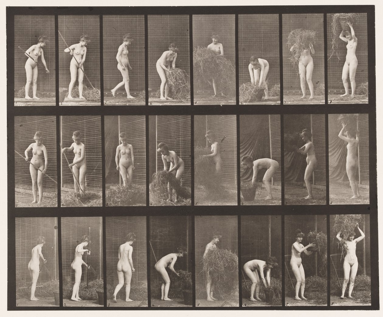Tafel 499. Heu rechen und packen von Eadweard Muybridge