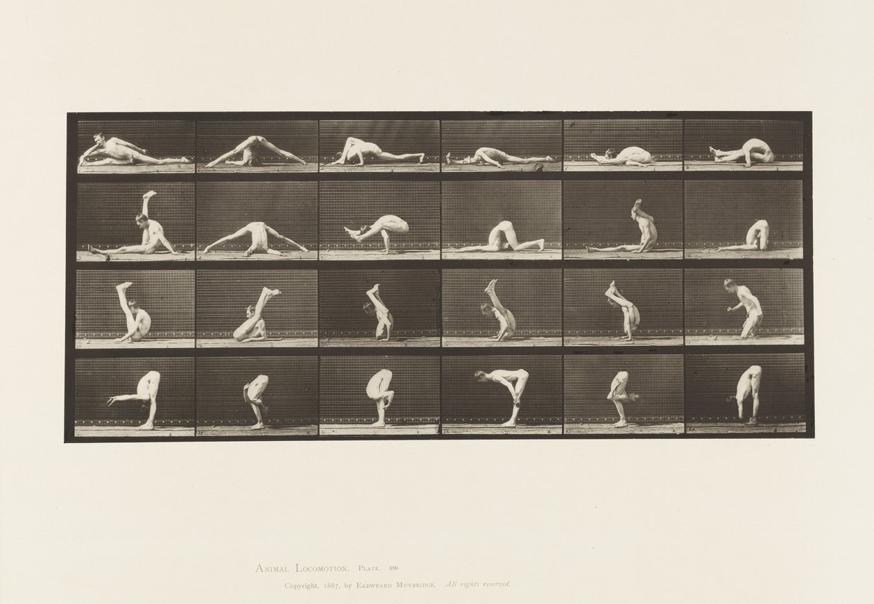 Tafel 510. Verrenkungen auf dem Boden, 1872-1885 von Eadweard Muybridge