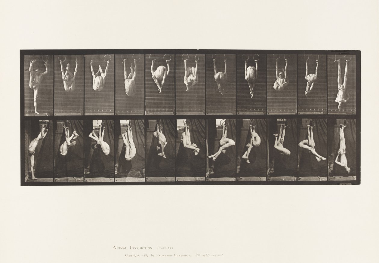 Tafel 512. Verrenkungen an Ringen von Eadweard Muybridge