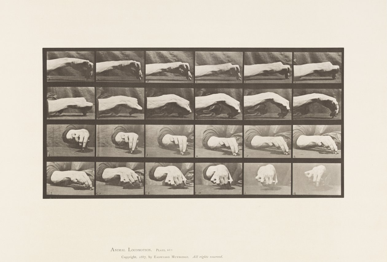 Tafel 532. Bewegung der Hand; einen Kreis zeichnen von Eadweard Muybridge