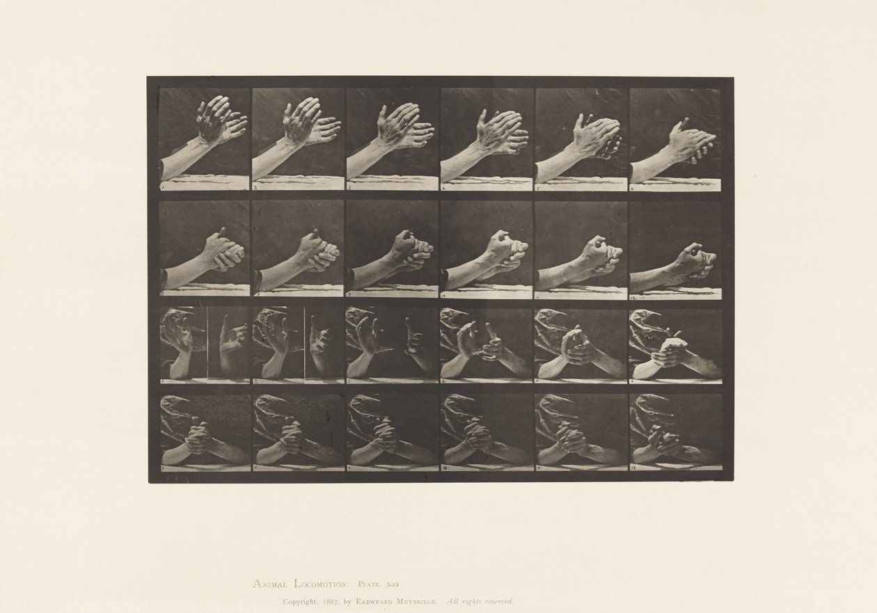 Tafel 533. Bewegung der Hand; Hände falten von Eadweard Muybridge