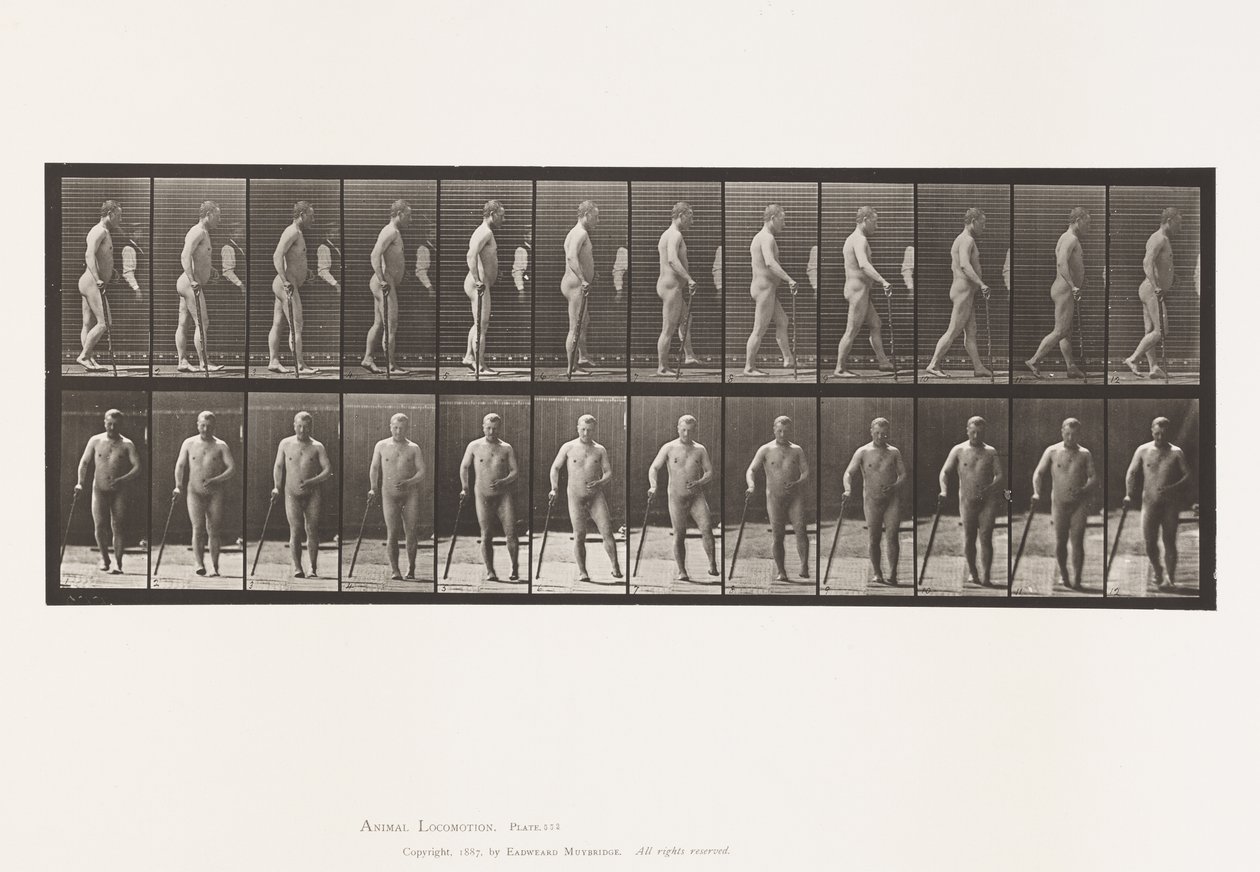 Tafel 552. Hemiplegie; Gehen mit Stock, 1885 von Eadweard Muybridge