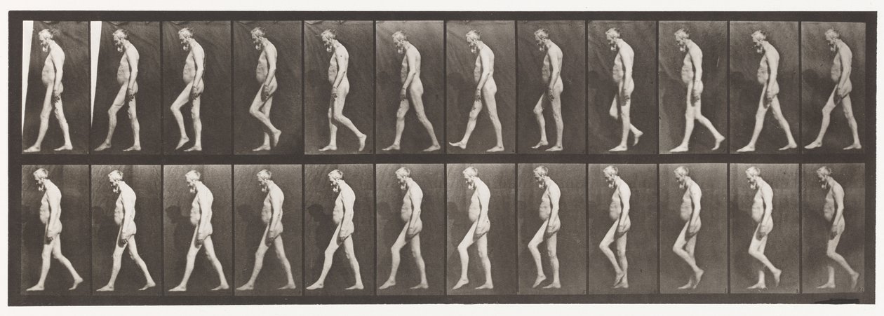 Tafel 555. Muskelatrophie der Beine; Erwachsener, A,B, Gehen, 1885 von Eadweard Muybridge