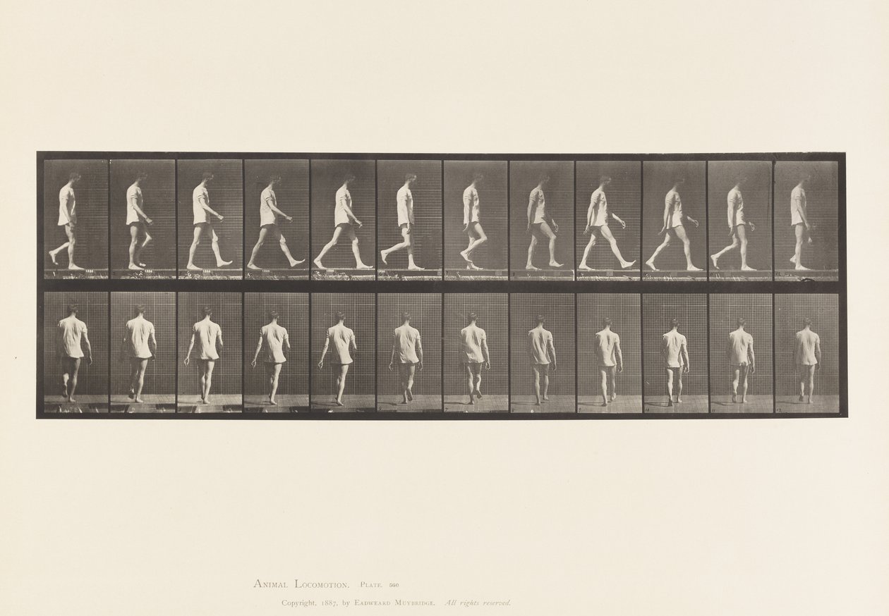 Tafel 560. Lokomotorische Ataxie; Gehen, 1885 von Eadweard Muybridge