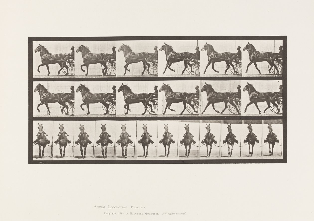 Tafel 612. Trabend; Sulky; Braunes Pferd Dereumd von Eadweard Muybridge