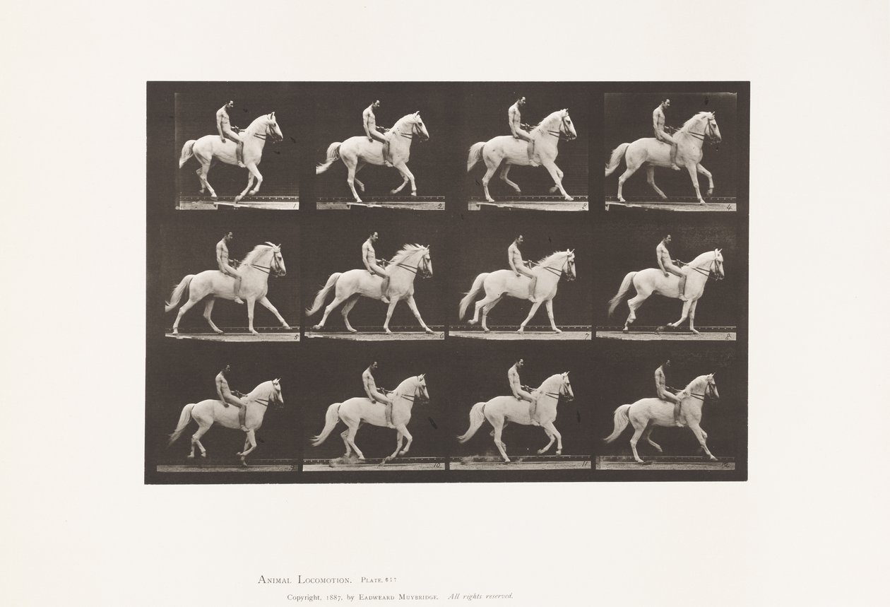 Tafel 617. Galopp; Ohne Sattel; Reiter, 106, Nackt; Weißes Pferd Clinton, 1885 von Eadweard Muybridge