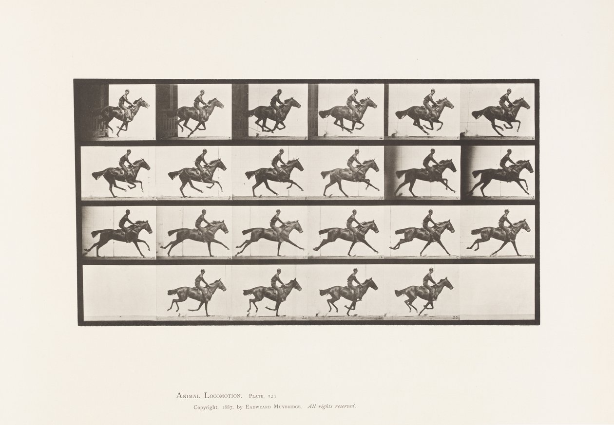 Tafel 625. Galopp; Vollblut Braunes Pferd Bouquet von Eadweard Muybridge