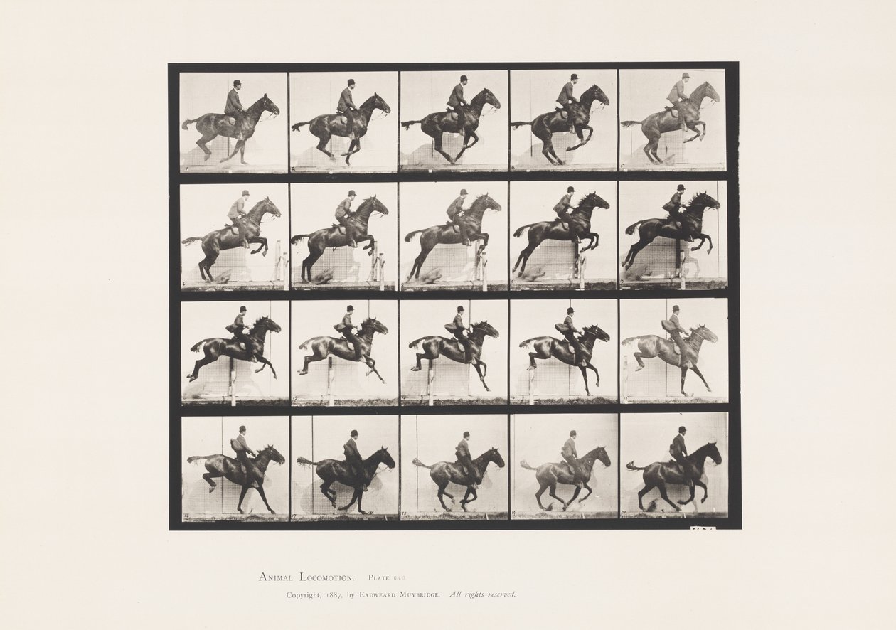 Tafel 640. Ein Hindernis überspringen; Sattel; Braunes Pferd Daisy von Eadweard Muybridge