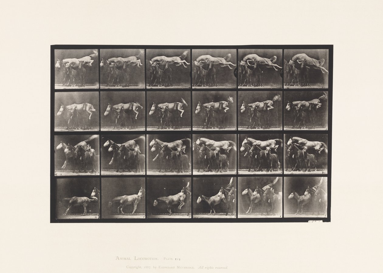 Platte 648. Über drei Pferde springen; A,B; Kastanienbraunes Pferd Hornet von Eadweard Muybridge