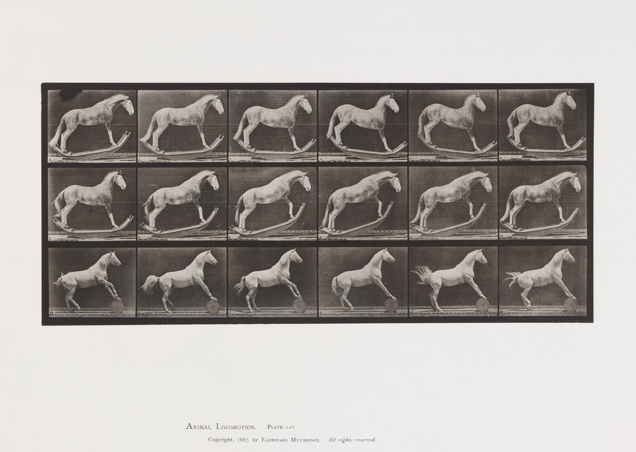 Tafel 649. A, Hornisse, Schaukelnd; B, Adler, rollendes Fass, usw. von Eadweard Muybridge