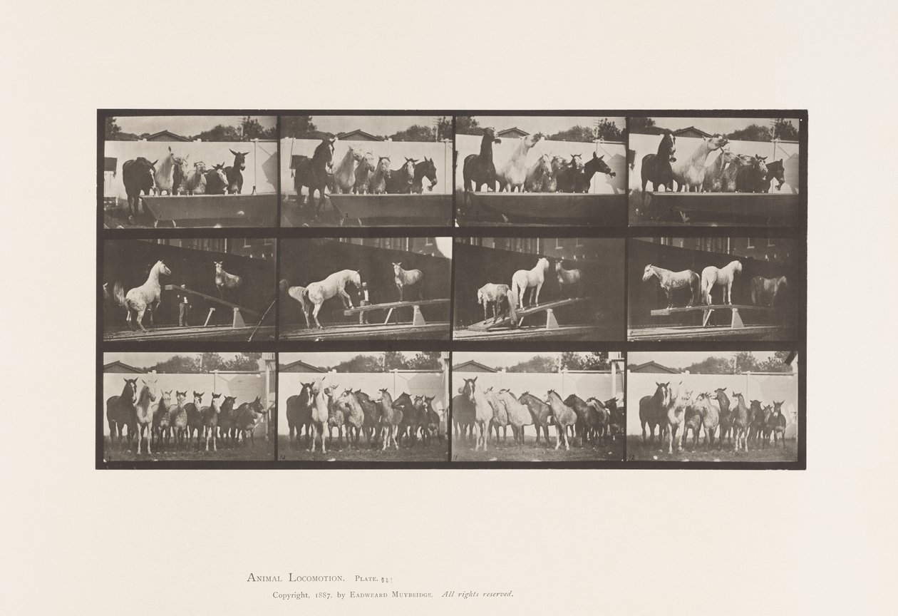 Tafel 651. A, Glockenläuten; B, Wippe; C, Militärübung von Eadweard Muybridge