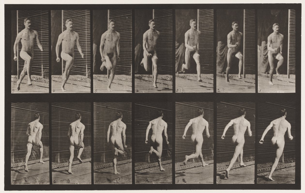 Tafel 66. Laufen von Eadweard Muybridge
