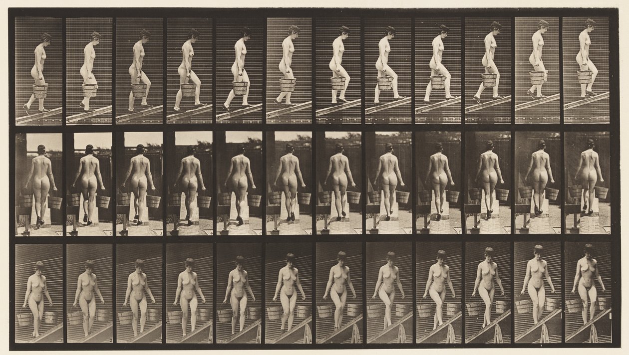 Tafel 87. Abwärts geneigt, Eimer Wasser in jeder Hand von Eadweard Muybridge