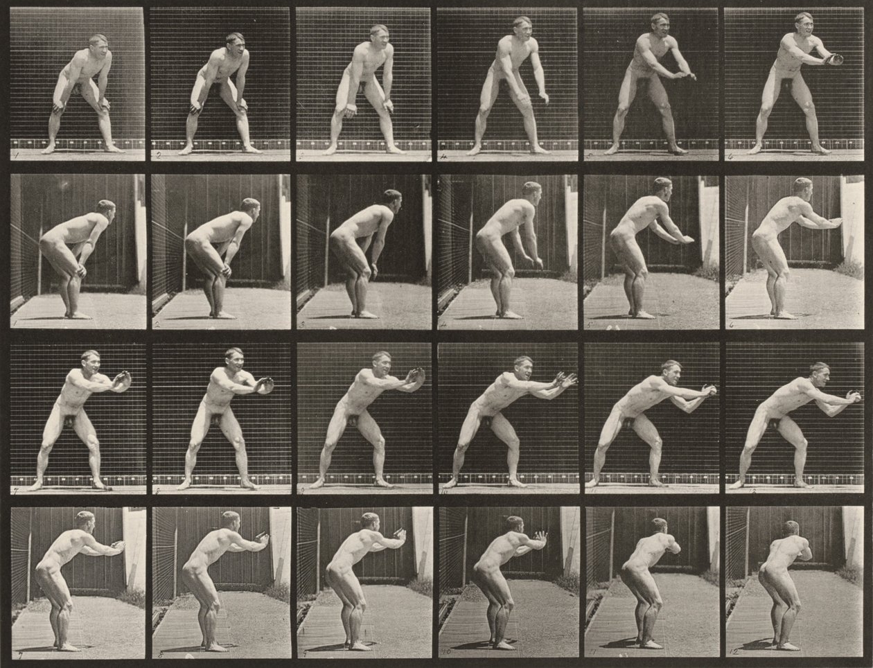 Tafel Nummer 280. Baseball, Fangen von Eadweard Muybridge