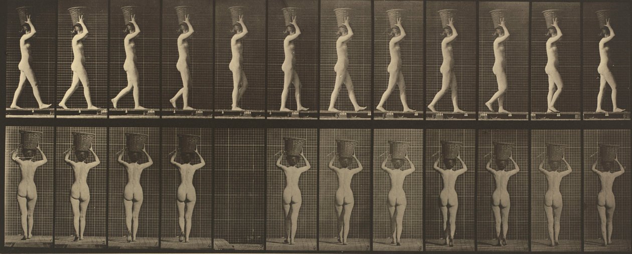 Tafel Nummer 34. Gehen und Tragen eines 15-lb.-Korbes auf dem Kopf, Hände erhoben von Eadweard Muybridge