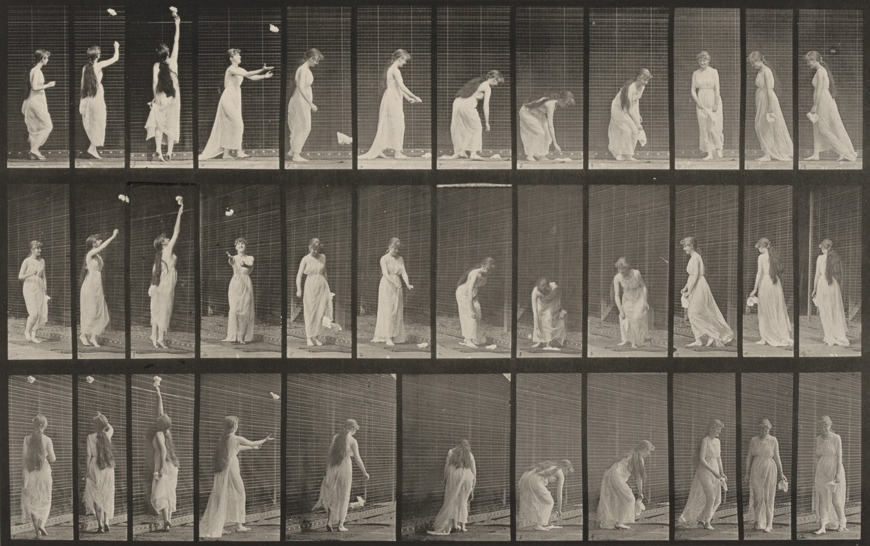 Tafel Nummer 463. Hochgreifen, Bücken und Umdrehen von Eadweard Muybridge