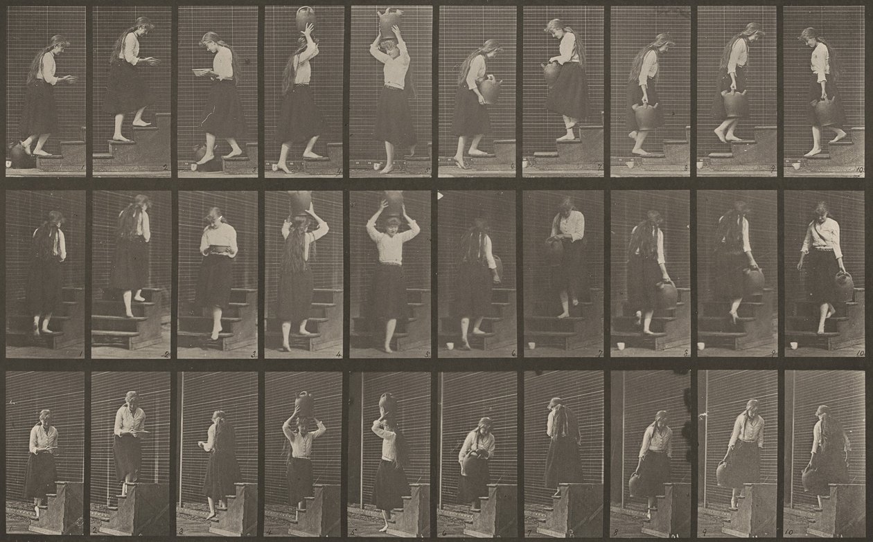 Platte Nummer 504. Auf- und absteigende Treppen von Eadweard Muybridge