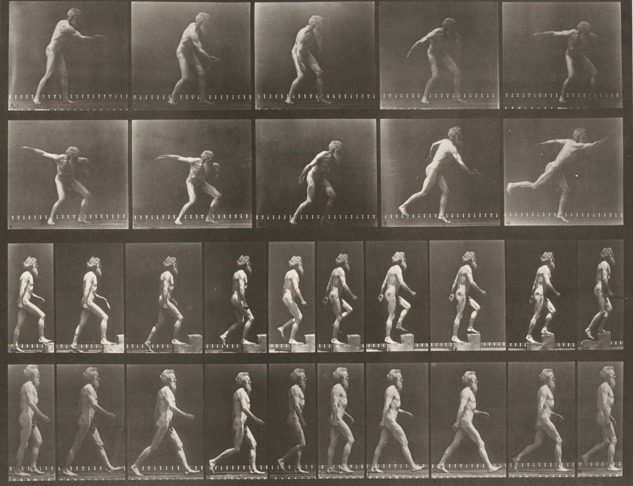 Tafel Nummer 519. A: Werfen einer Scheibe. B: Hinaufsteigen auf eine Stufe. C: Gehen von Eadweard Muybridge