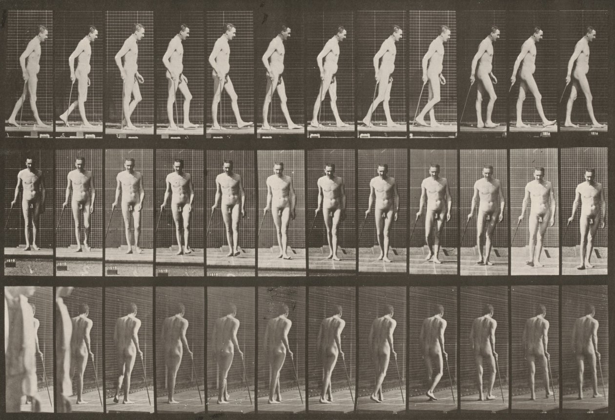 Tafel Nummer 559. Teilweise Paraplegie, Gehen mit Stock von Eadweard Muybridge