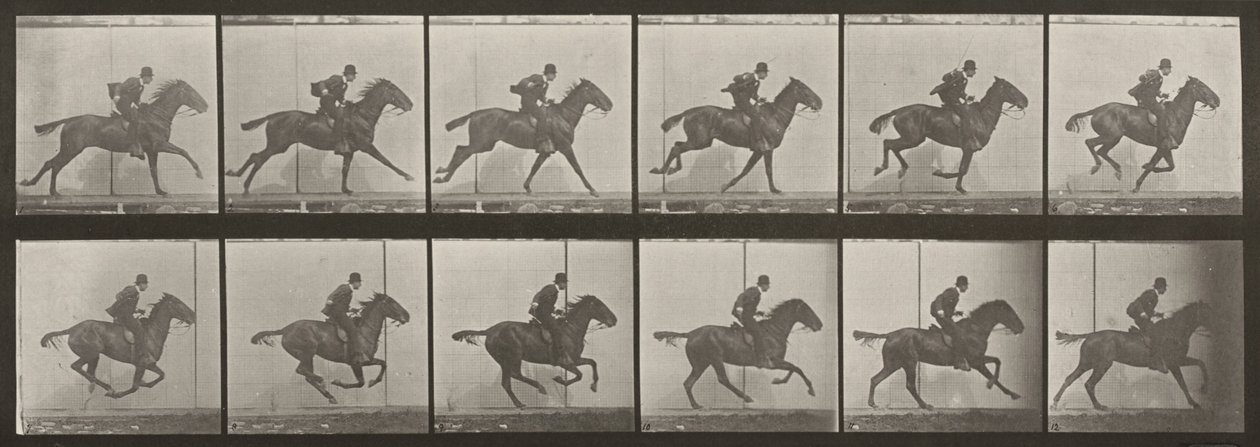 Tafel Nummer 624. „Daisy“ galoppierend, gesattelt von Eadweard Muybridge
