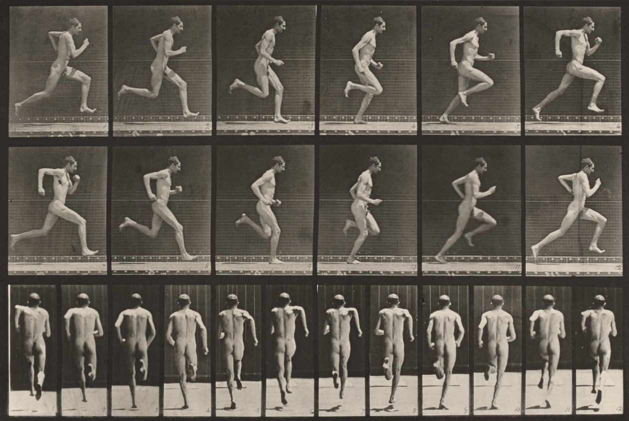 Tafel Nummer 62. Laufen mit voller Geschwindigkeit von Eadweard Muybridge