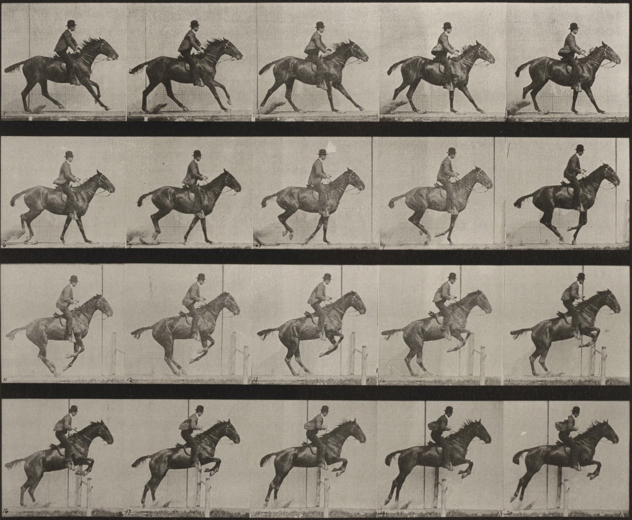 Tafel Nummer 636. „Daisy“ springt gesattelt über ein Hindernis und bereitet sich auf den Sprung vor von Eadweard Muybridge