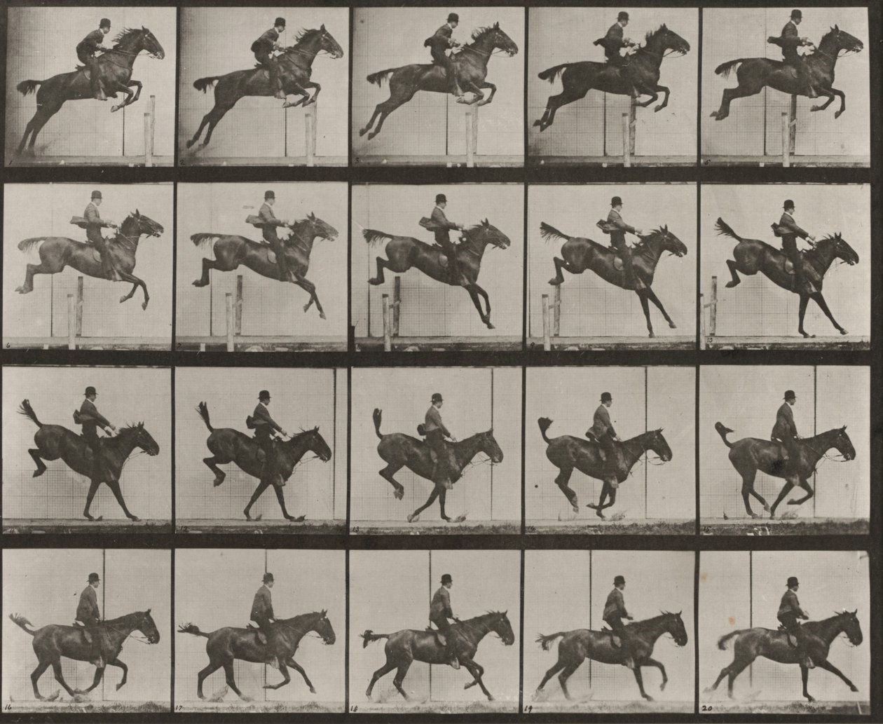 Tafel Nummer 637. "Daisy" springt über ein Hindernis, gesattelt, springend, landend und erholend von Eadweard Muybridge