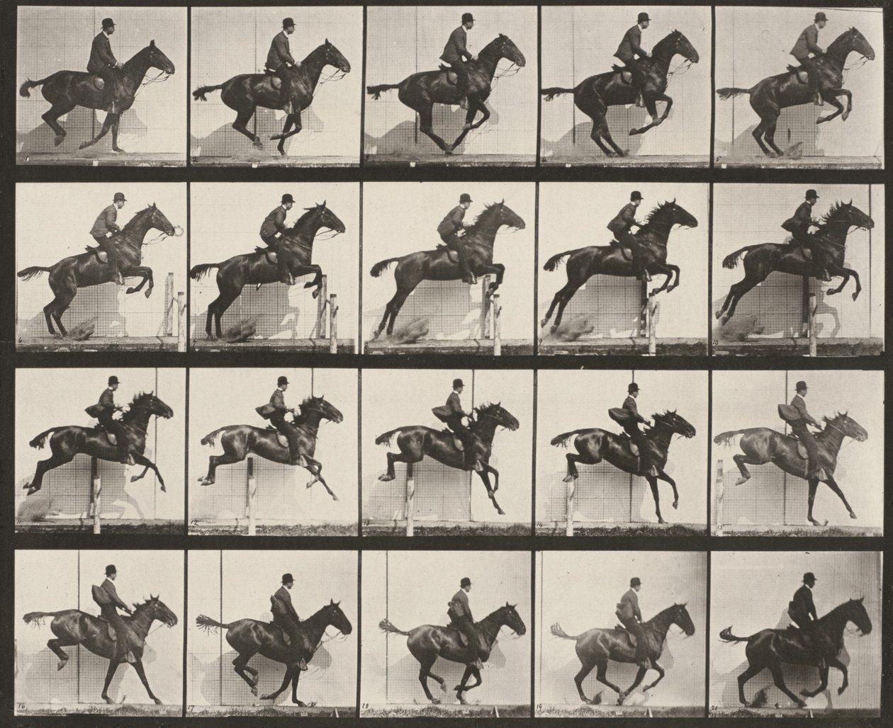 Tafel Nummer 640. „Daisy“ springt gesattelt über ein Hindernis von Eadweard Muybridge