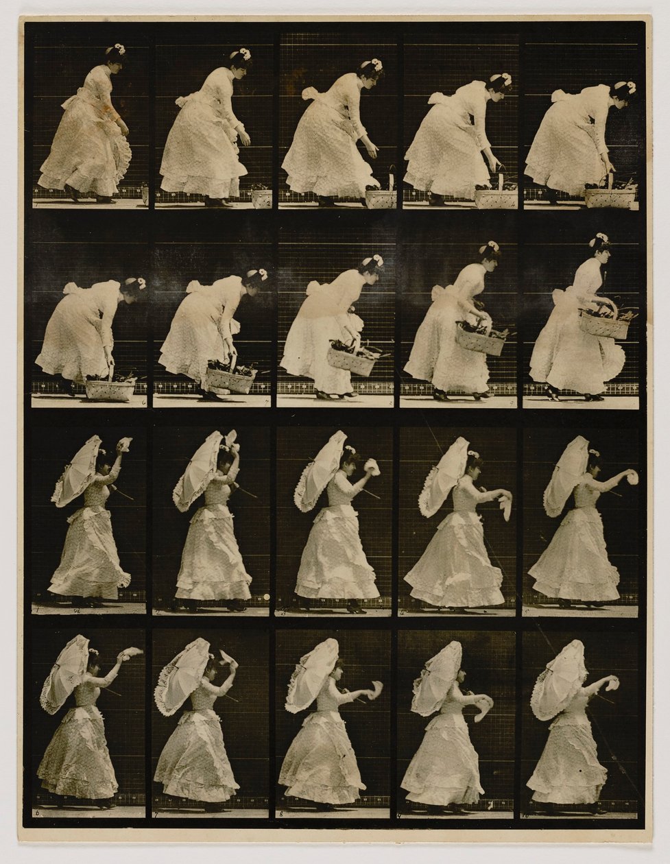 Frau hebt einen Korb, winkt mit einem Taschentuch, aus dem Buch Animal Locomotion von Eadweard Muybridge