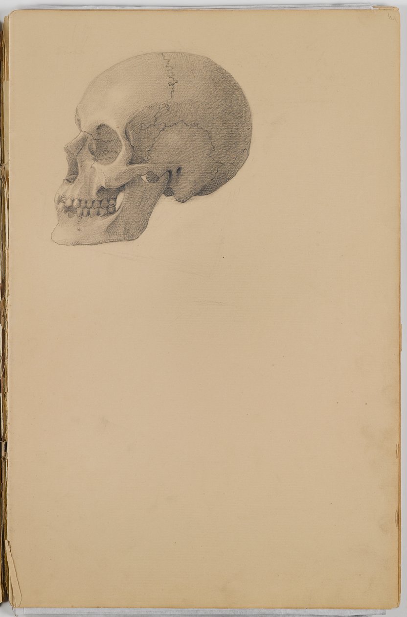 Anatomie-Skizzenbuch, 1849 von Eastman Johnson