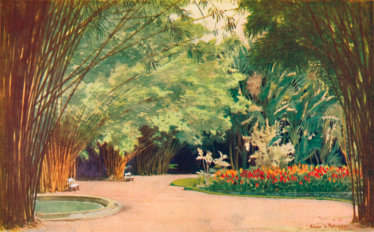 Ein Bambushain - Botanische Gärten, 1914 von Edgar L. Pattison