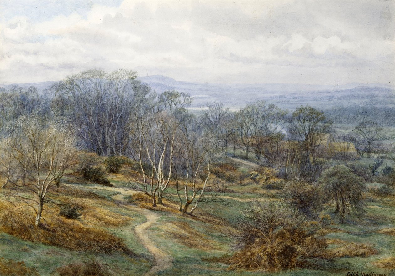Hampstead Heath Blick auf Harrow on the Hill, ca. 1880 von Edith Martineau