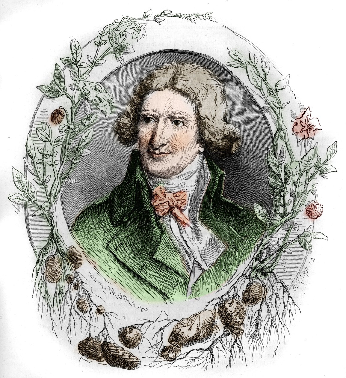 Porträt von Antoine Augustin Parmentier, französischer Militärapotheker und Agronom. Gravur von Edmond Morin von Edmond Morin
