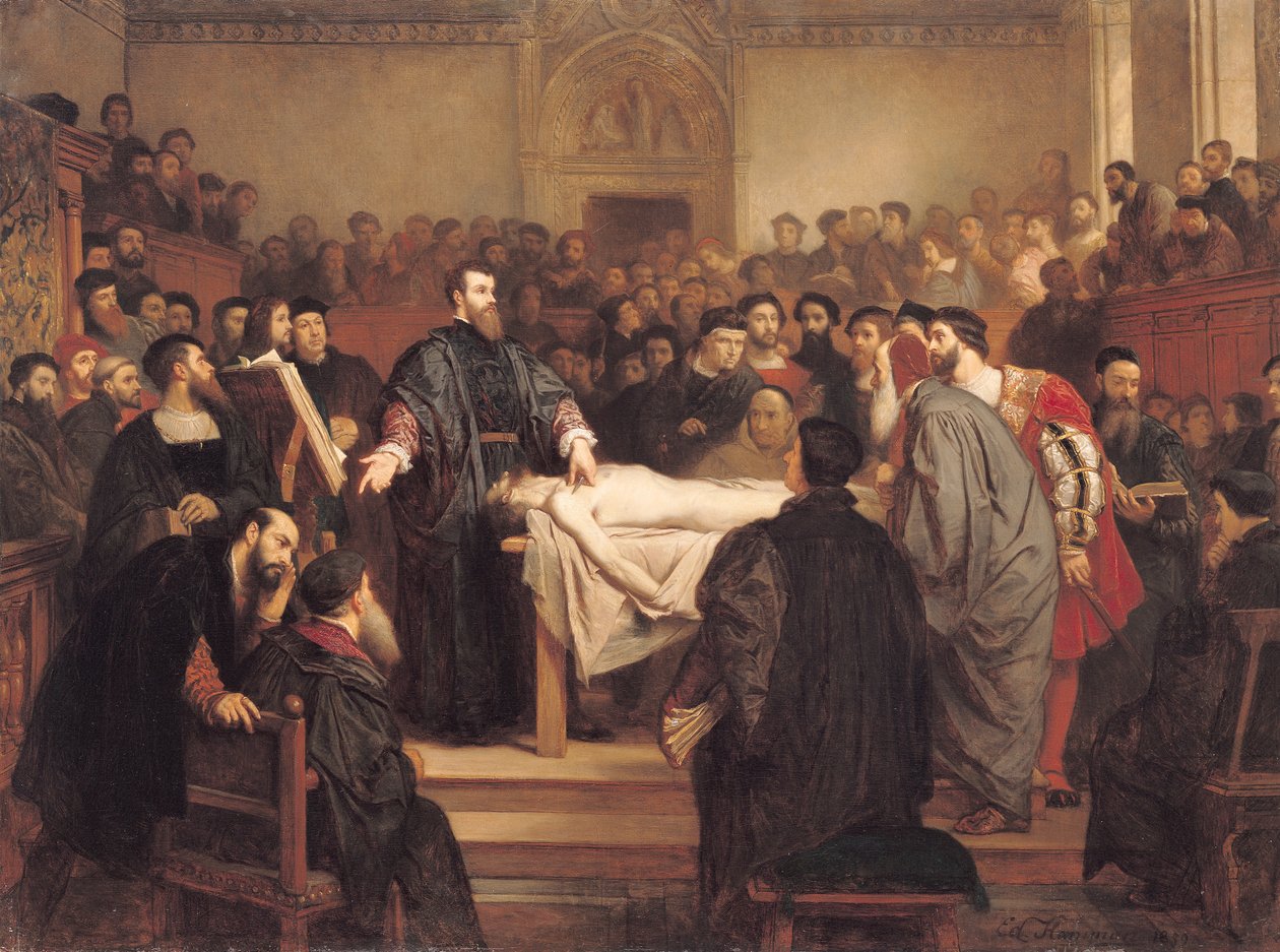 Andreas Vesalius (1514-64) in Padua, 1859 von Edouard Jean Conrad Hamman