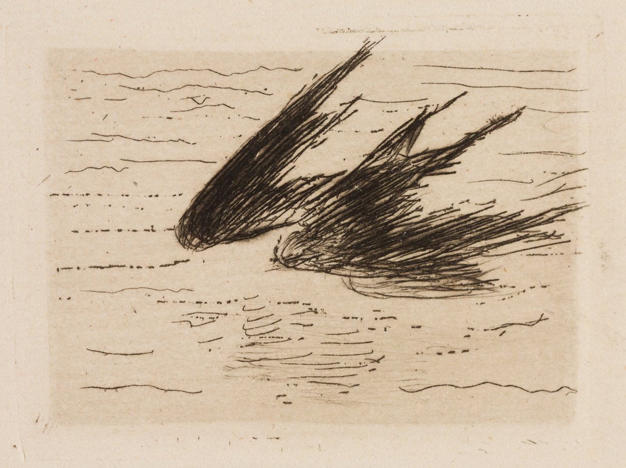 Schwalben, Platte 8 aus Le Fleuve von Édouard Manet