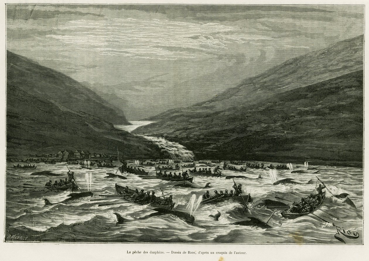 Delfinfang. Gravur von Riou zur Illustration der Geschichte „Ein Monat im Archipel der Färöer“ von H. Labonne, veröffentlicht in Le Tour du monde 1887 von Edouard Riou